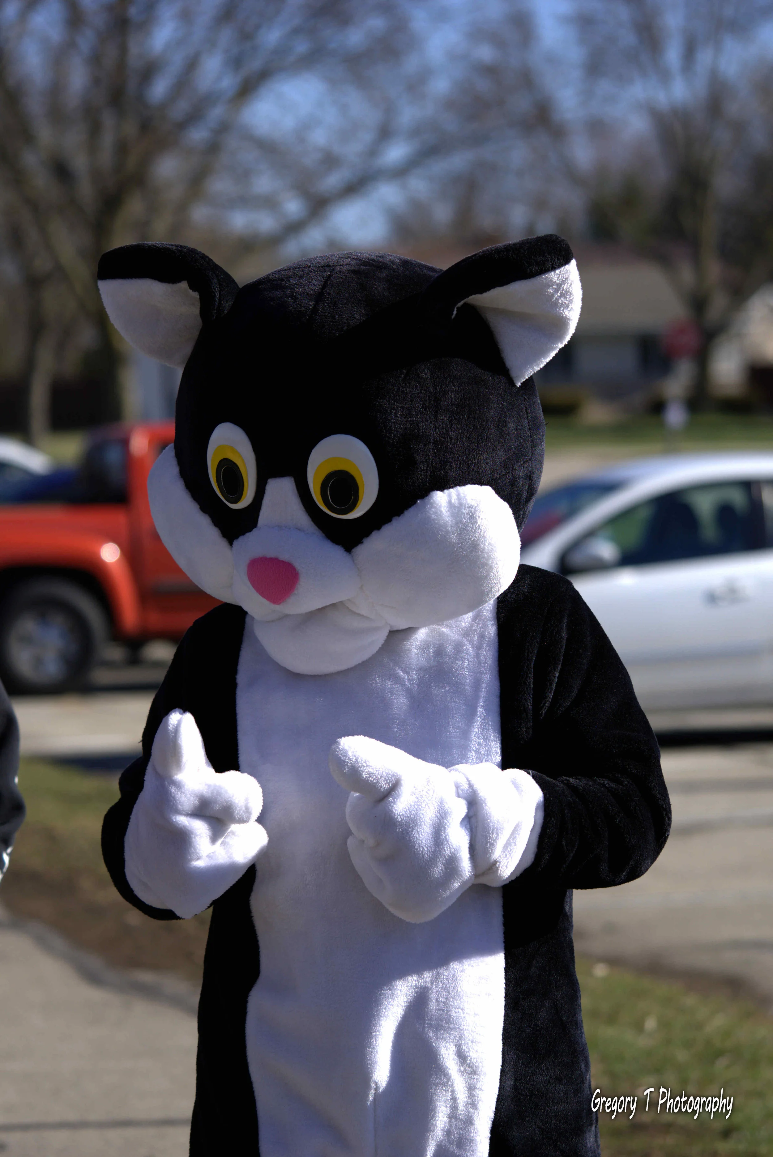 Meow Mixer 5K 2018_0188Small Size.jpg