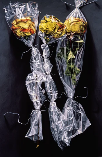 Roses Wrapped in Polyethelene