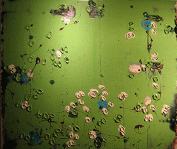 "The Long View" 63" x 71". Oil on Canvas, #244, 2006