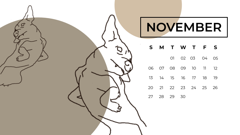 2022 Sesame Calendar- Final (11).png