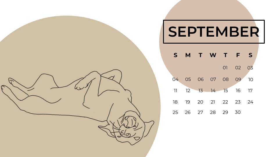 2022 Sesame Calendar- Final (9).png