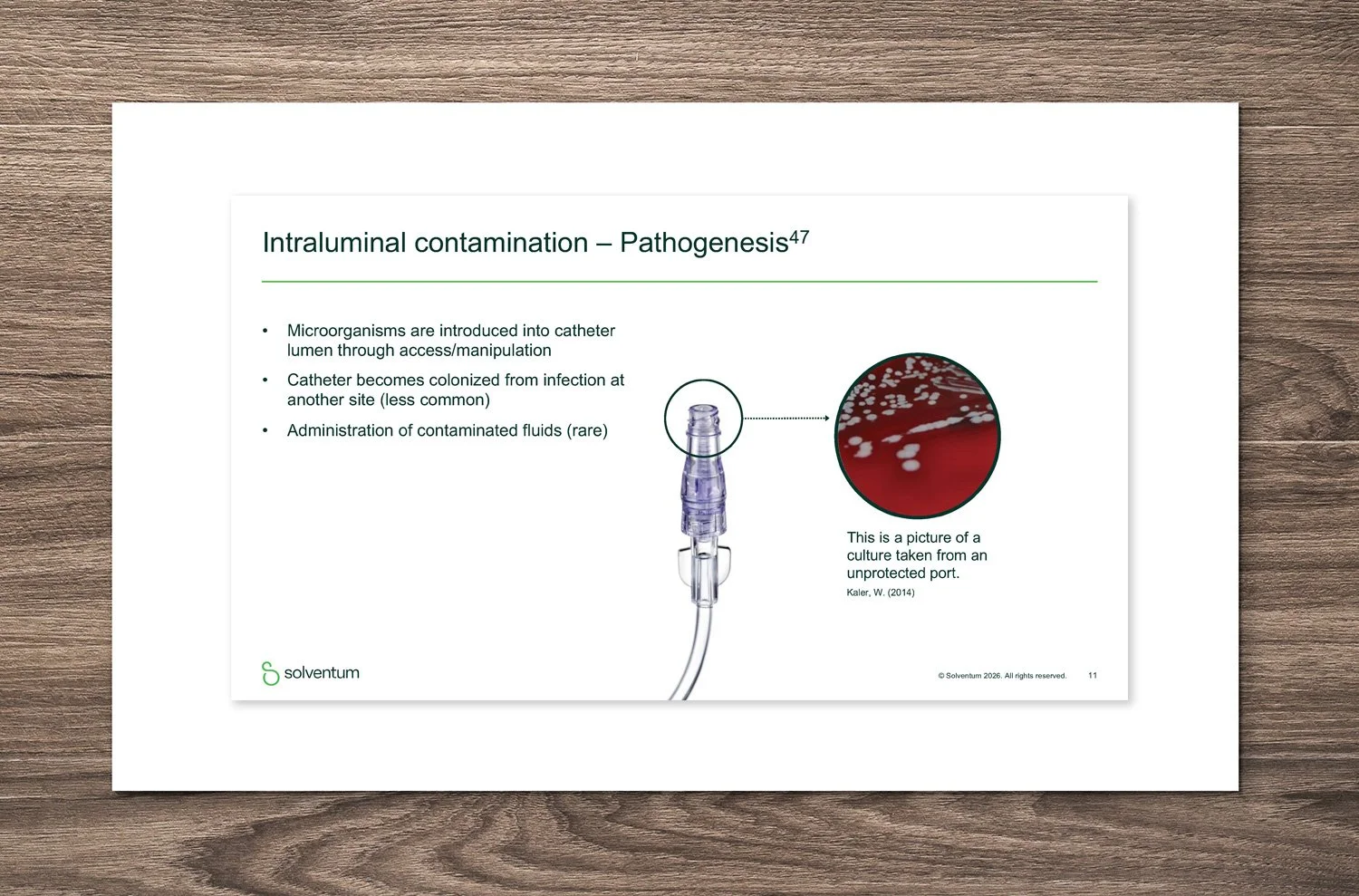  Solventum Power Point presentation slide 