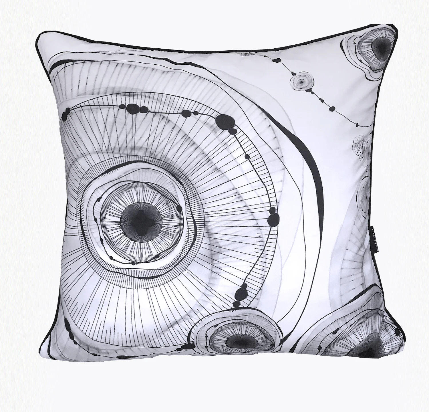 Jellies Square square.jpg