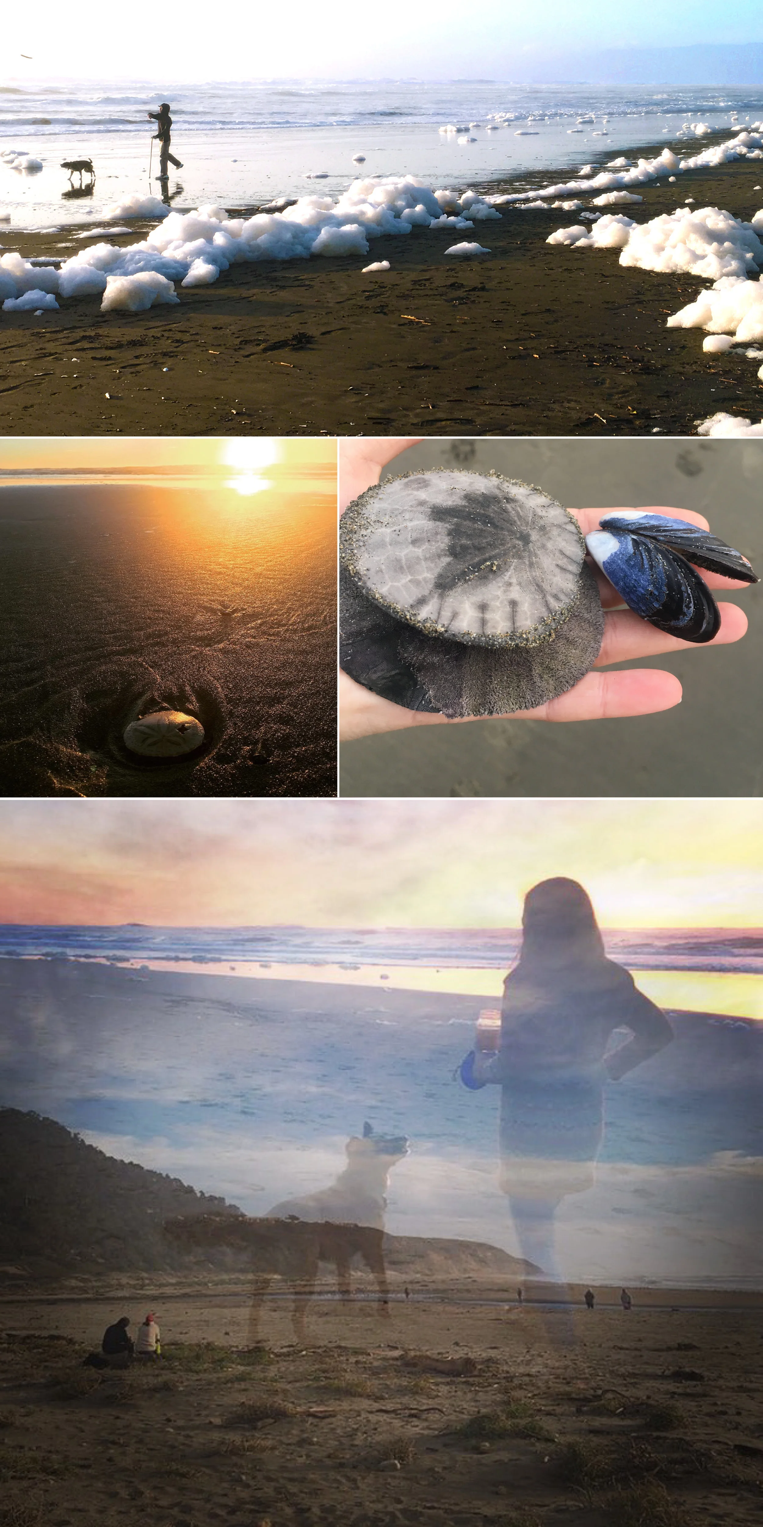 Sunset Image 1.jpg