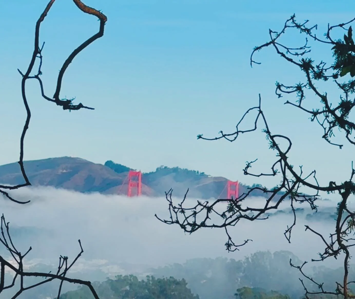 Mornings, favorite time of the day, when the city is still sleeping, the air is fresh and the mist of the fog wraps the bridge. 🌁 #sanfrancisco ❤️