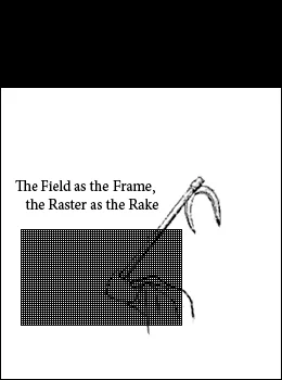 fieldraster1.jpeg