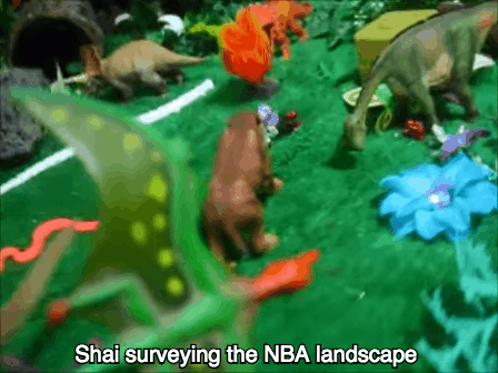 animation.gif