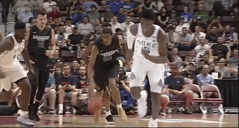 zion1.gif