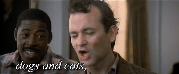 murray.gif