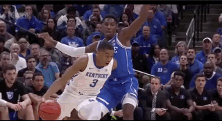 keldon-1.gif