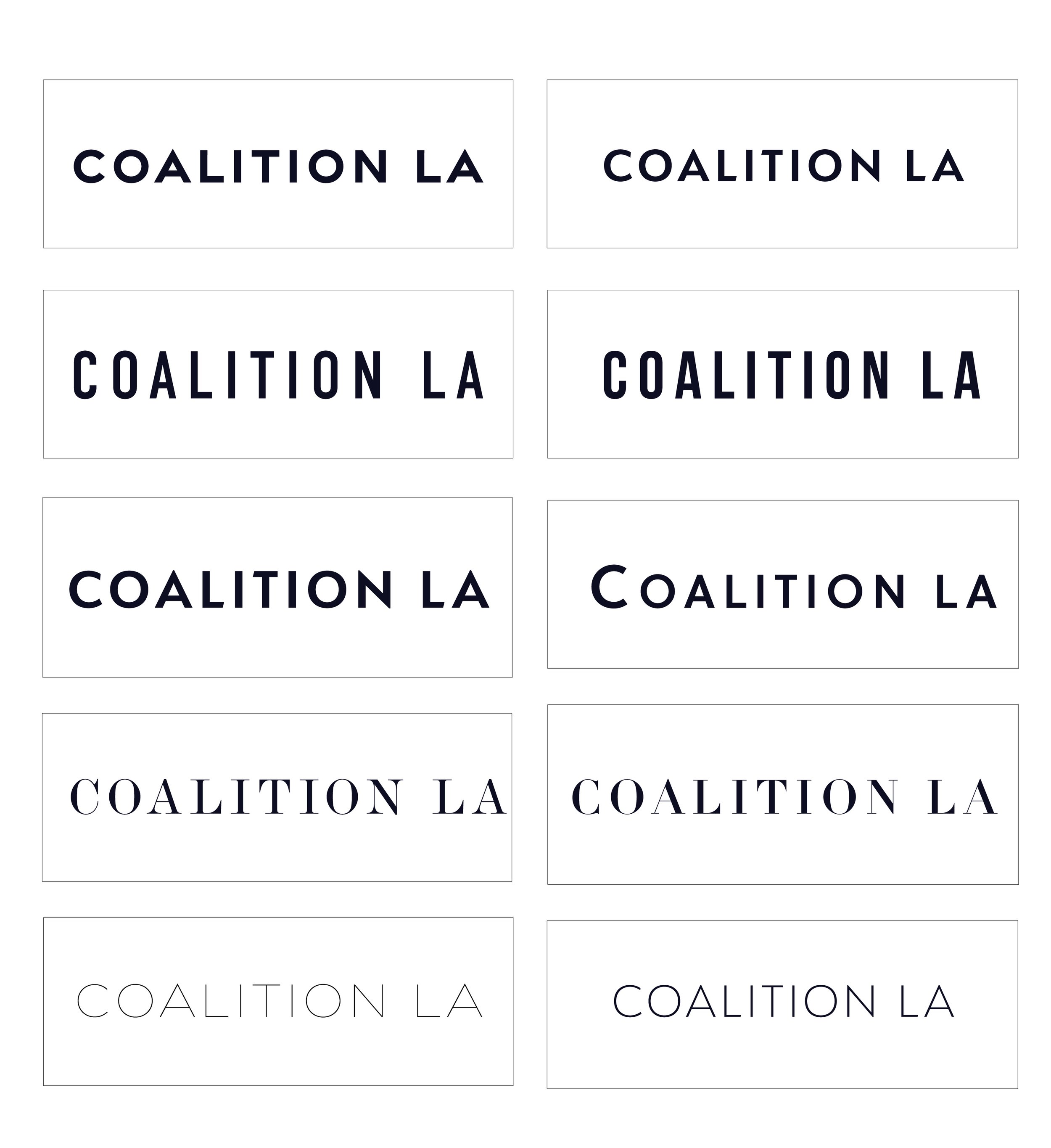 LOGOTYPE OPTIONS