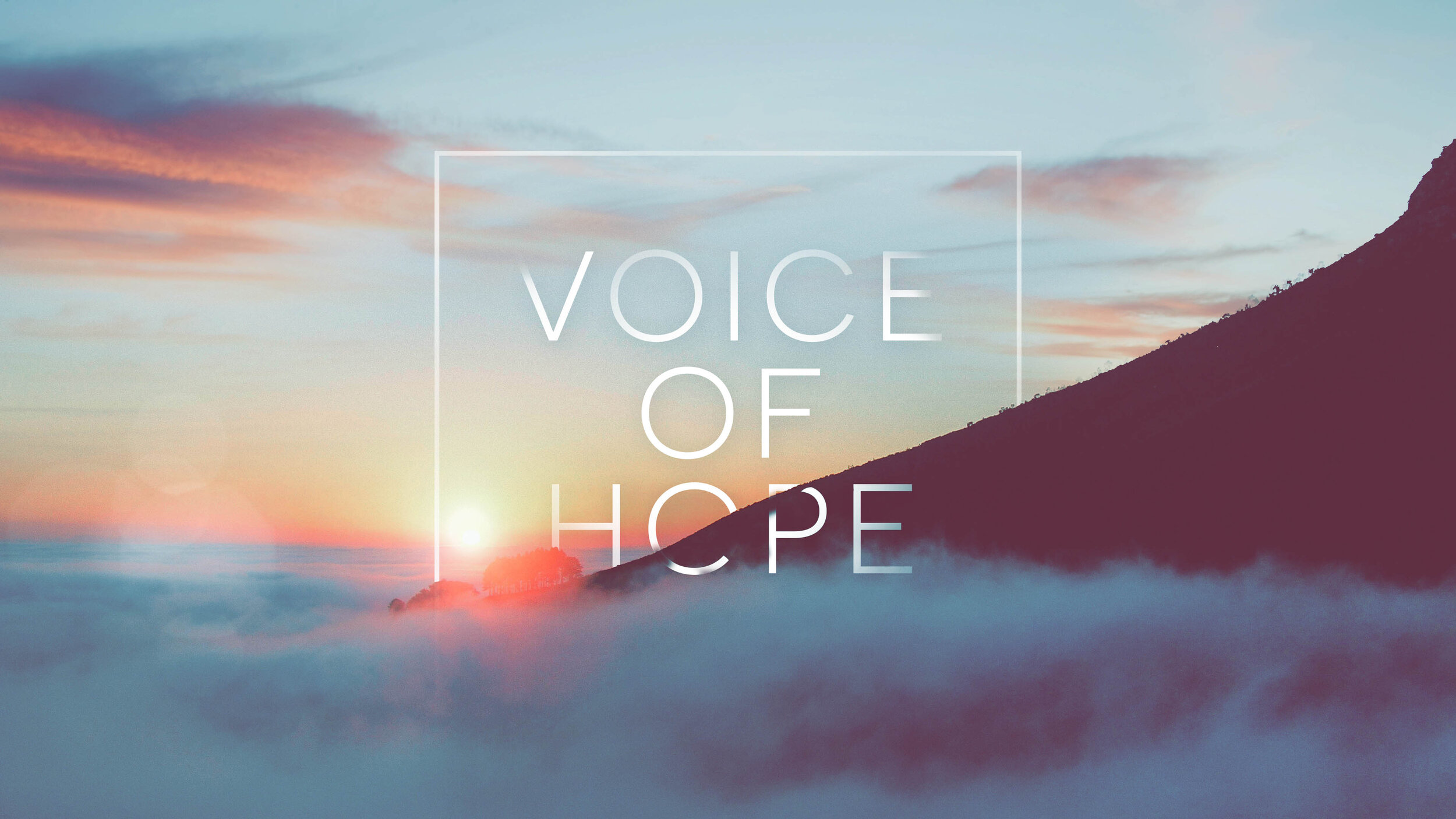 Voice of Hope Main Image Small.jpg