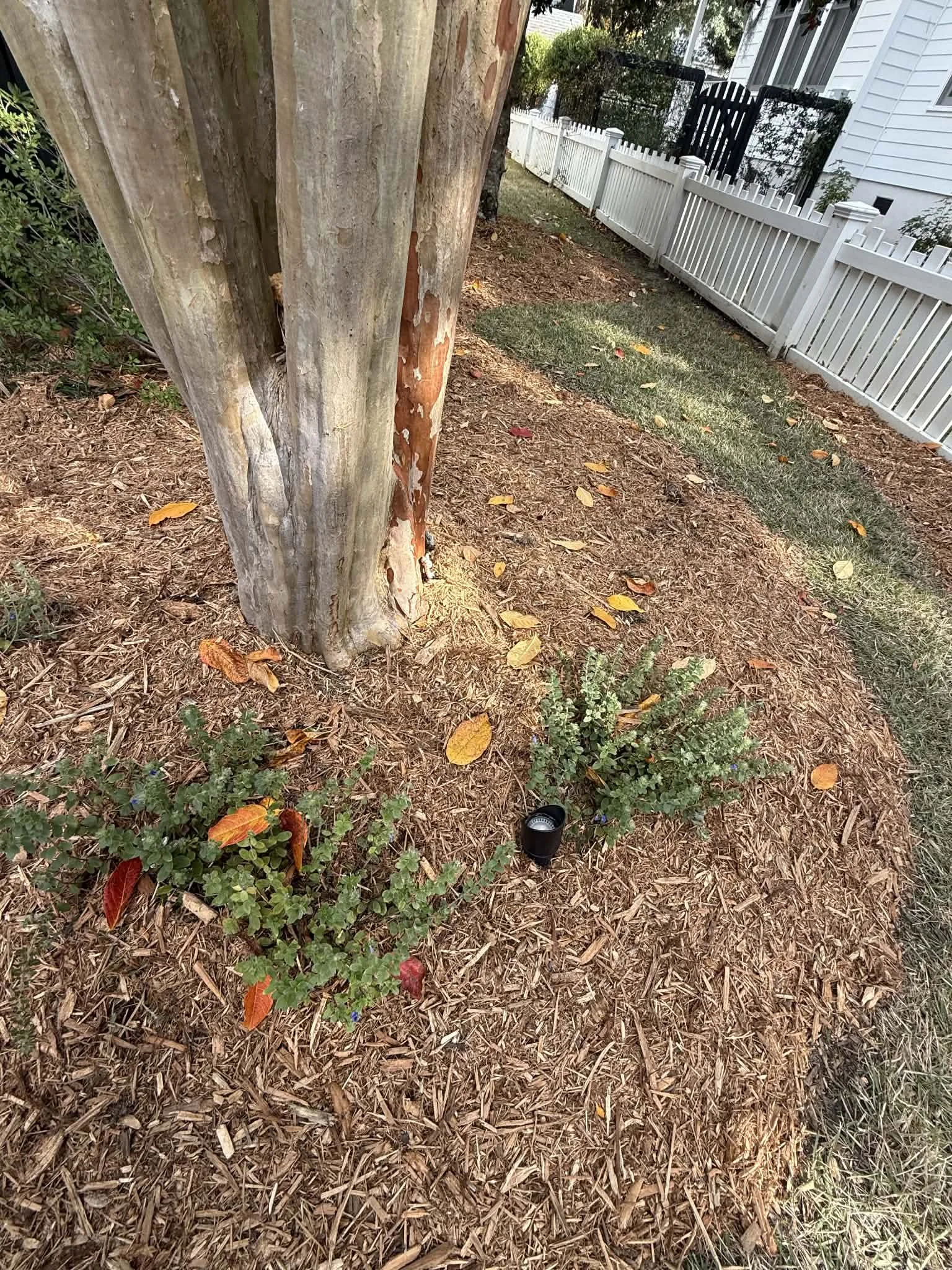 landscape lighting 2.jpg