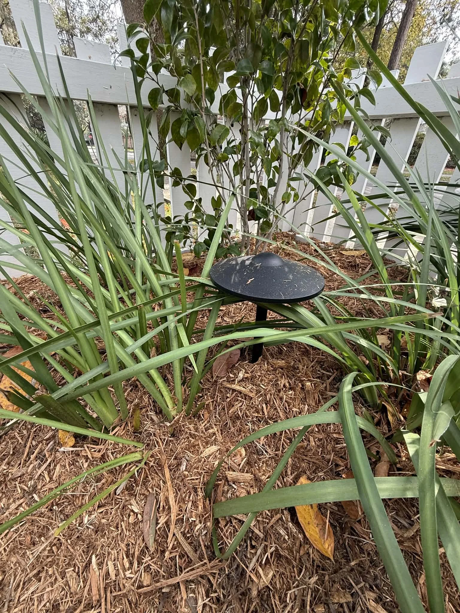 landscape lighting 3.jpg