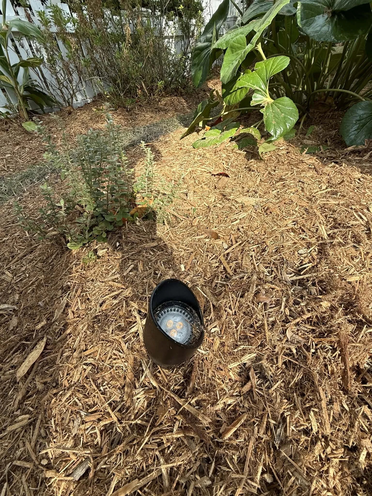 landscape lighting 4.jpg