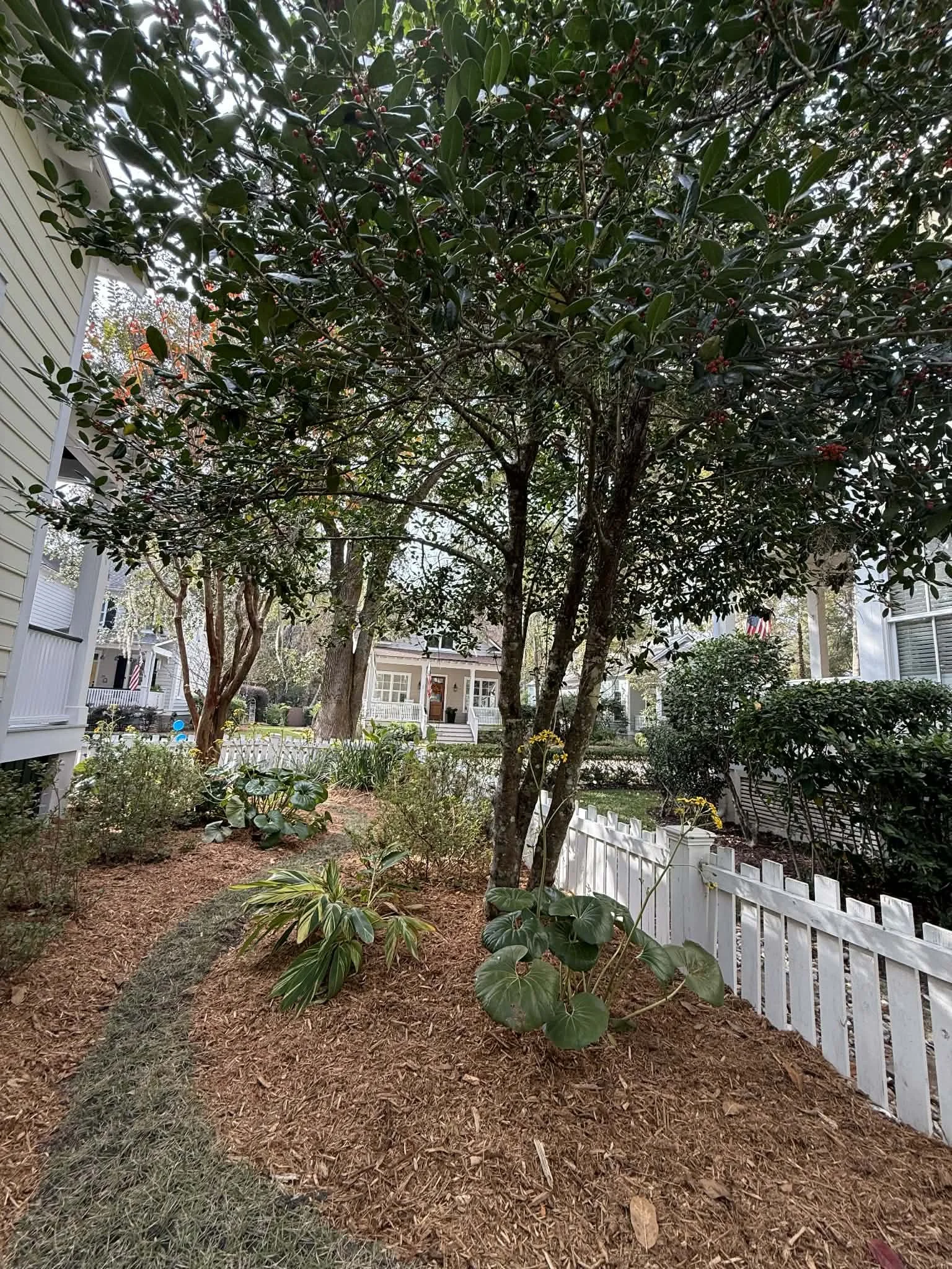 side yard fresh mulch.jpg