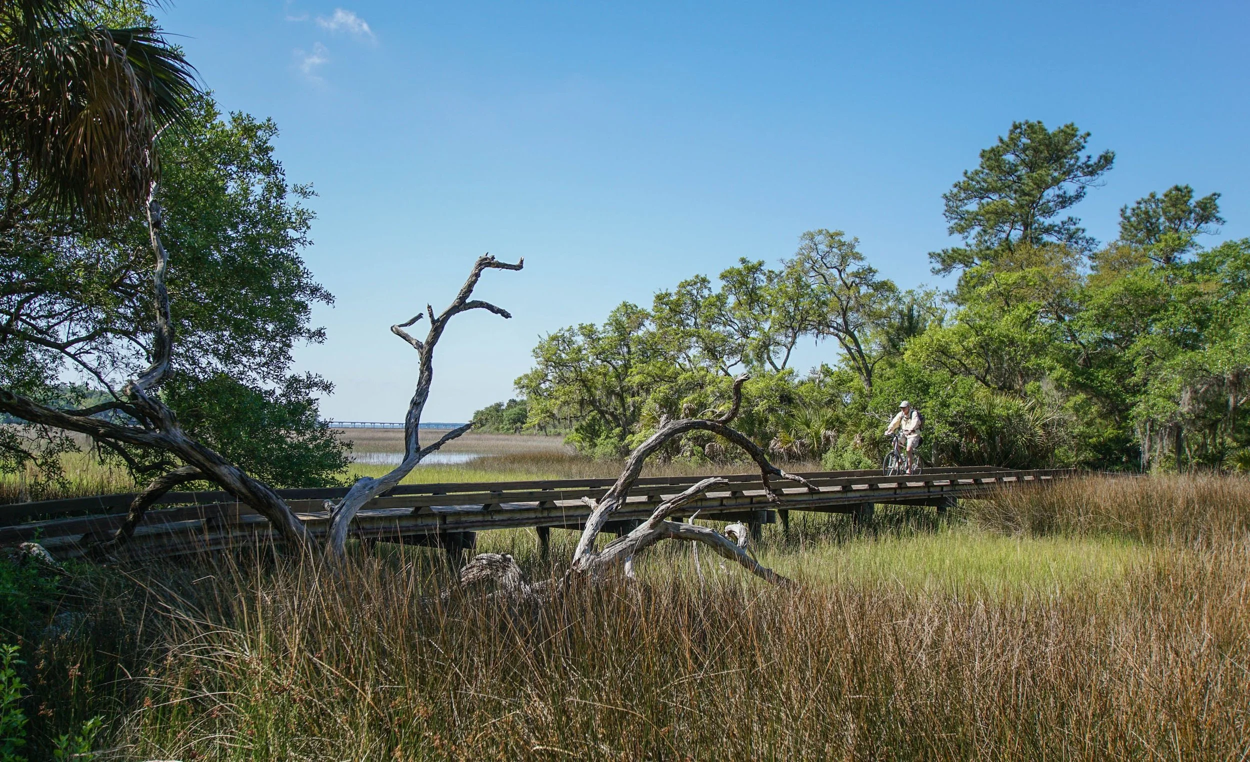 bike trail bridge.JPG