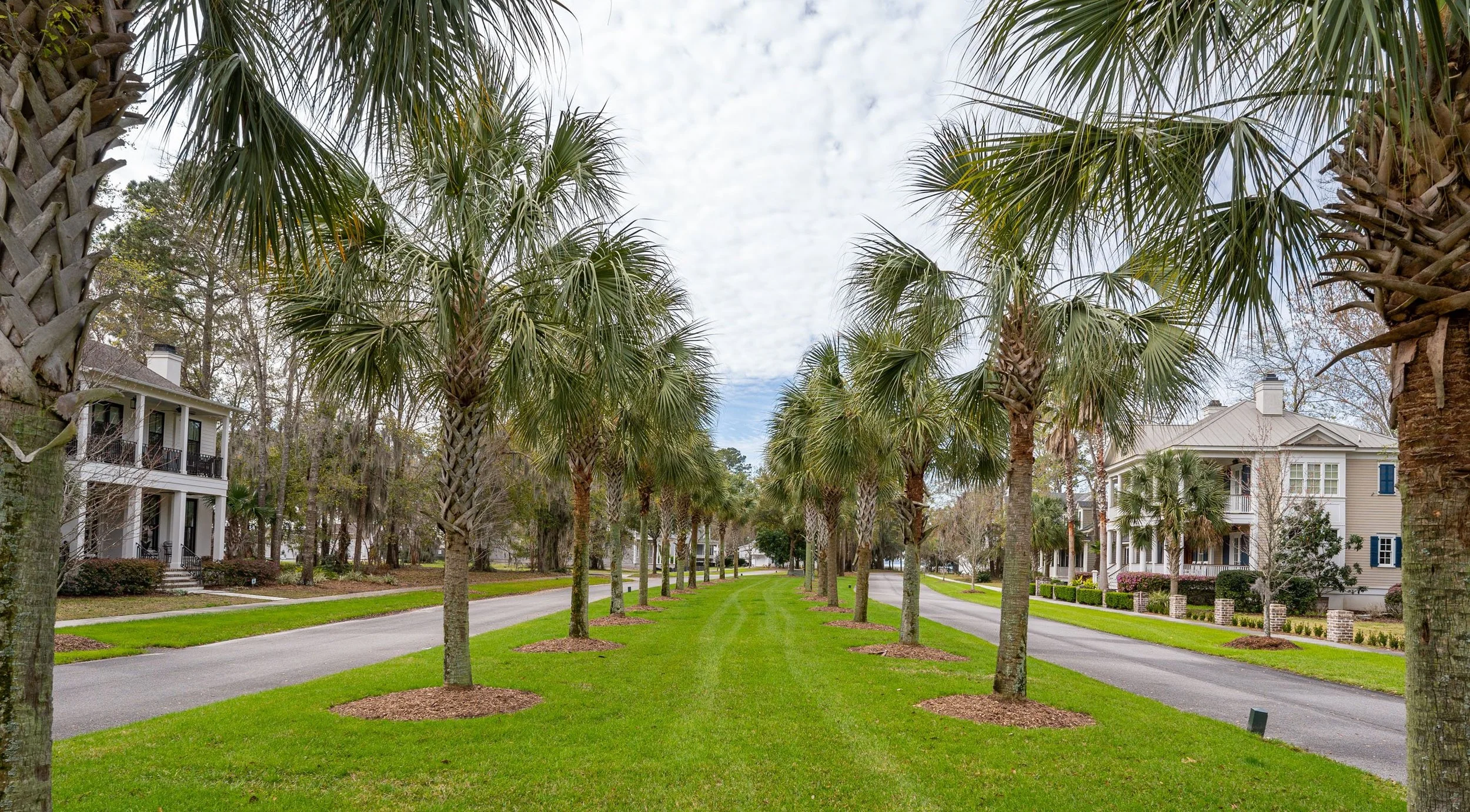 tree lane Habersham.JPG