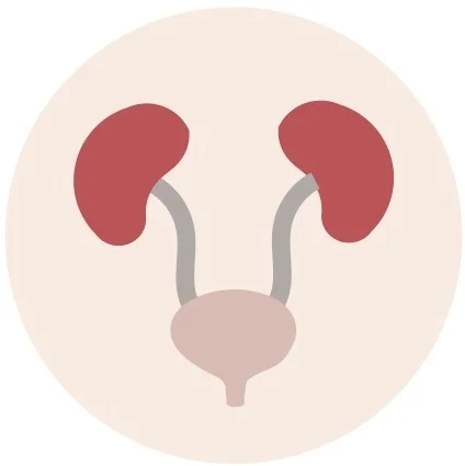 Nephrology.jpg