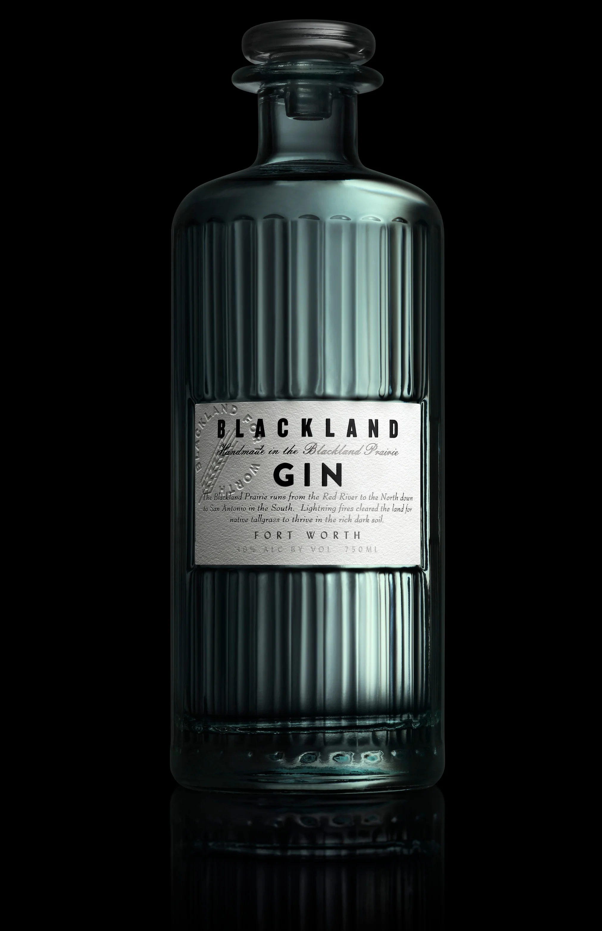 Dando_Blackland_Gin_F_V2+copy+copy.jpg