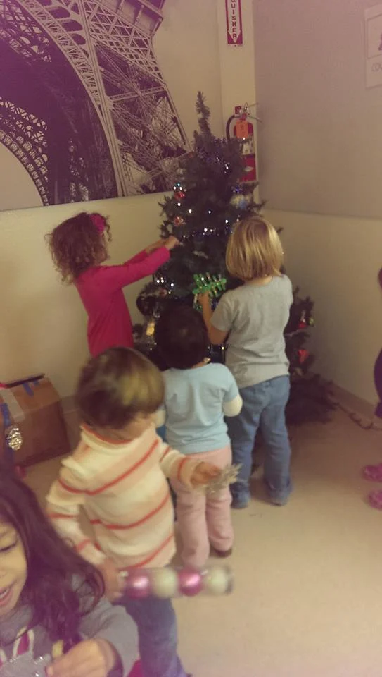 sapin.jpg