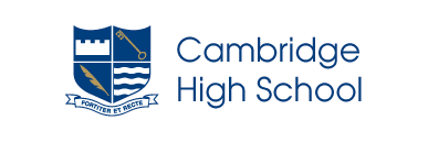 cam-high.gif