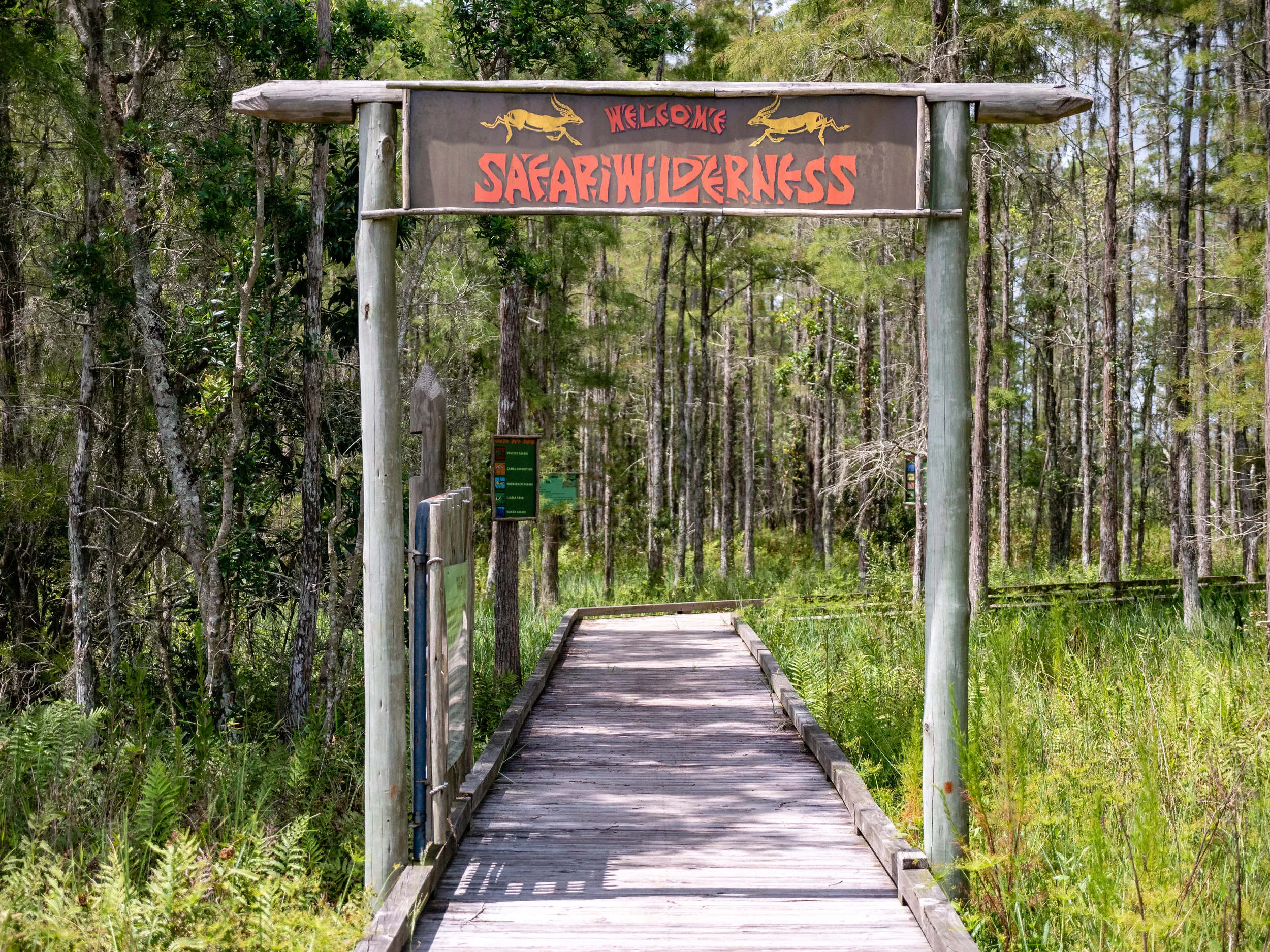 safariadv-57.jpg