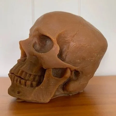 beeswax+skull+2.jpg