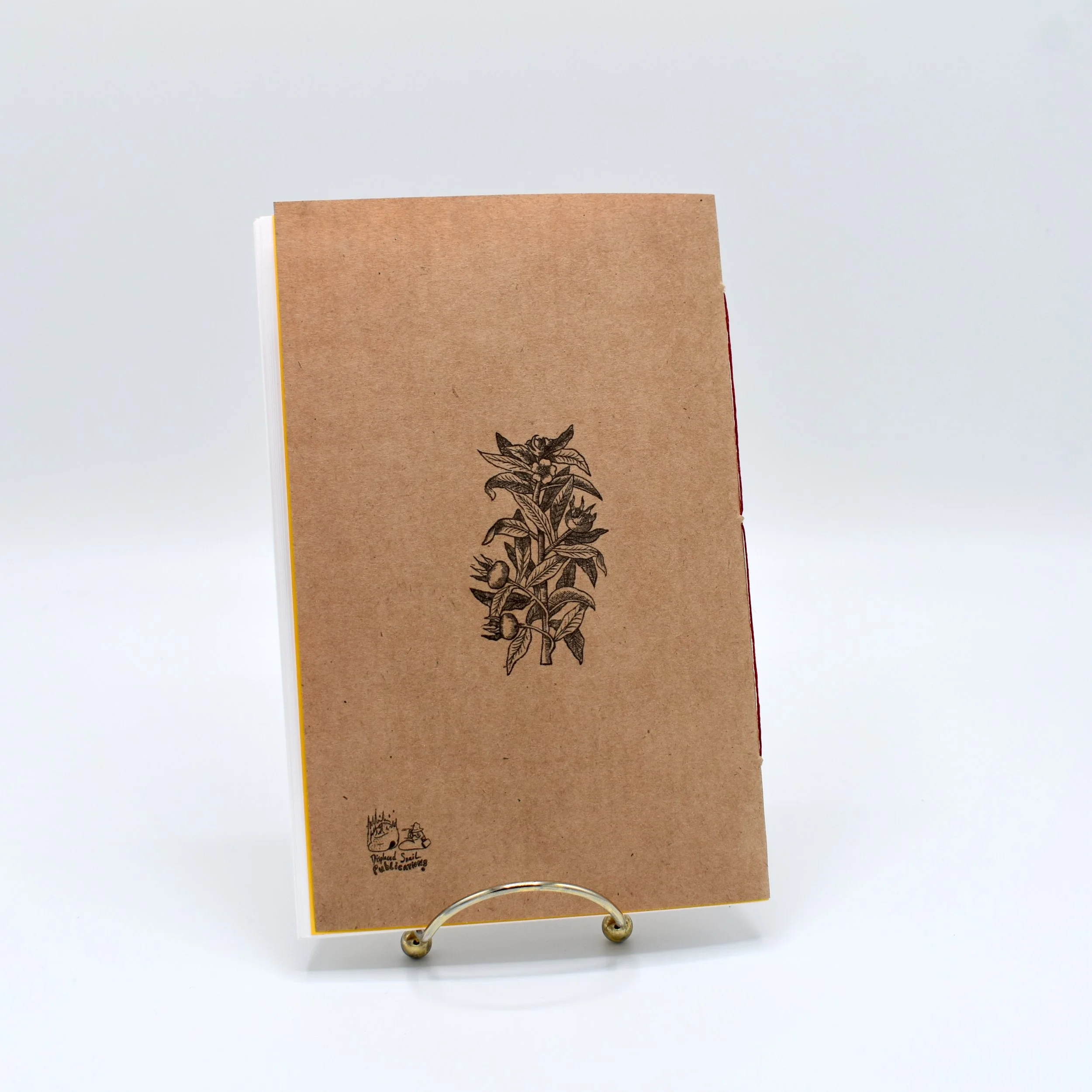 Kytchyn Wytche 2.JPG