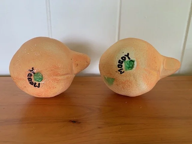 miracle oranges 2.jpeg