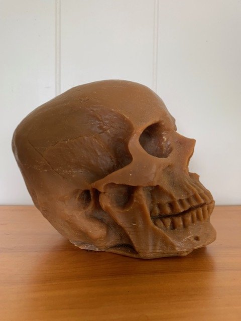 beeswax skull 1.jpeg