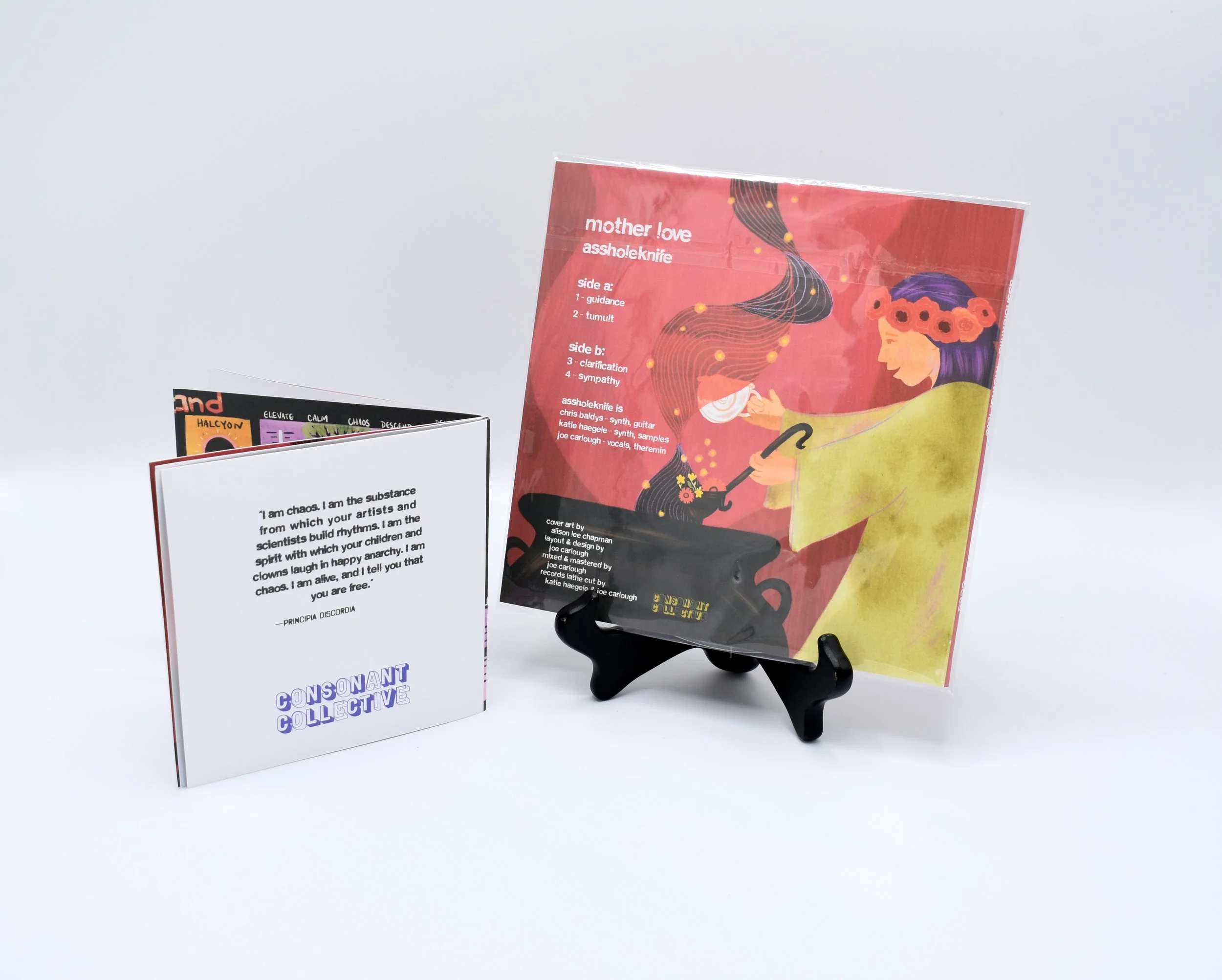 I'm in a Noise Band 2.JPG