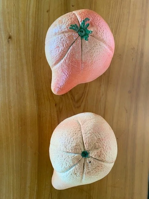 miracle oranges 3.jpeg