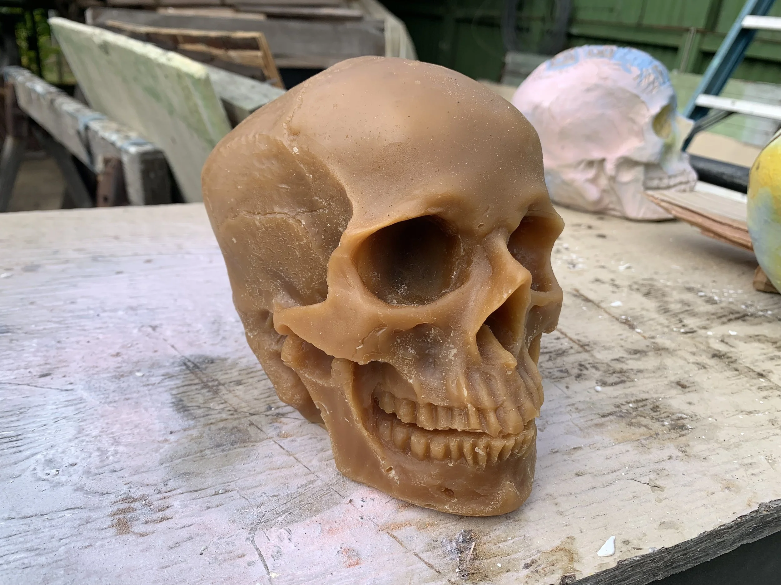 wax skull 2.jpeg