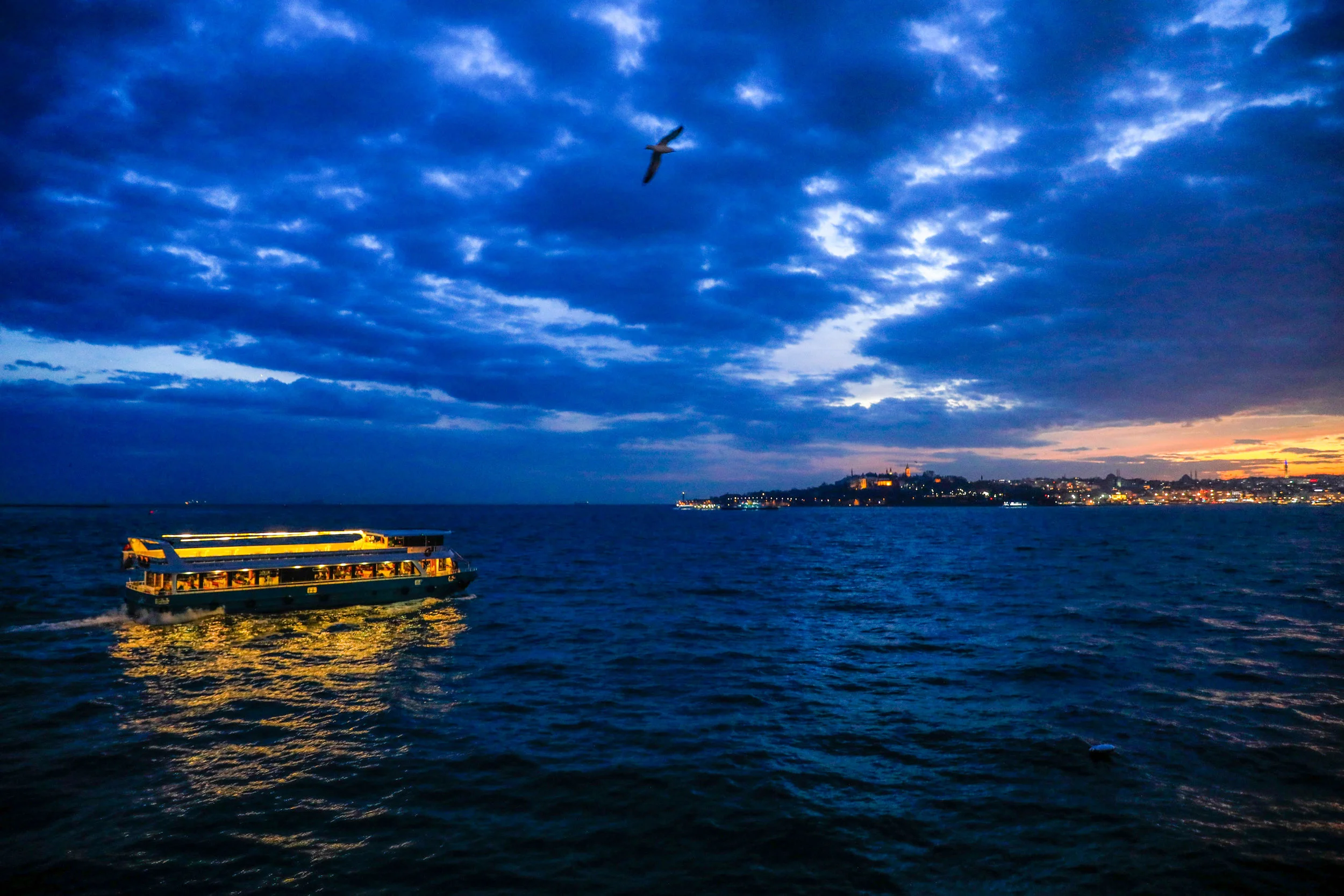 _P1A2553.jpg