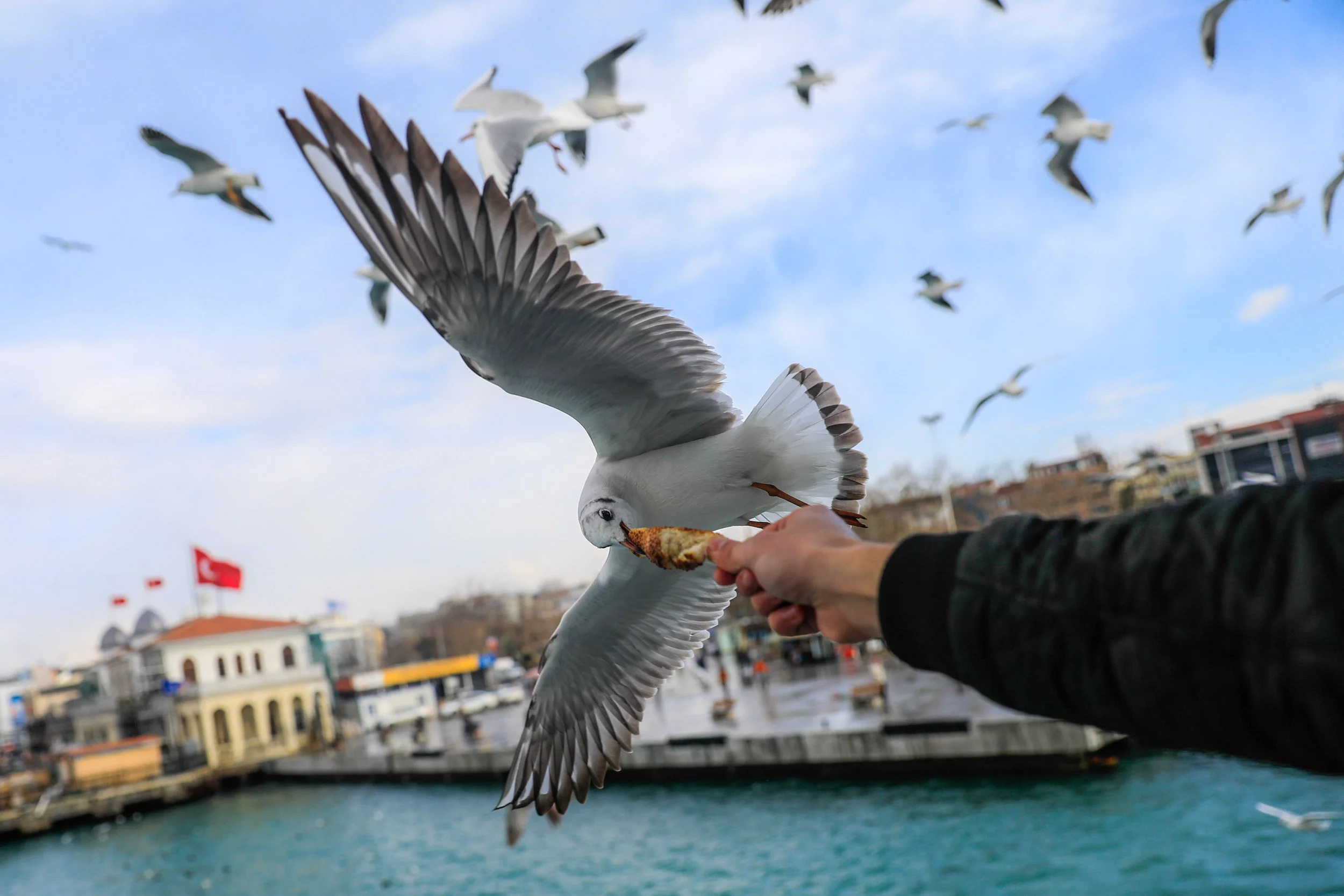 _P1A6564.jpg