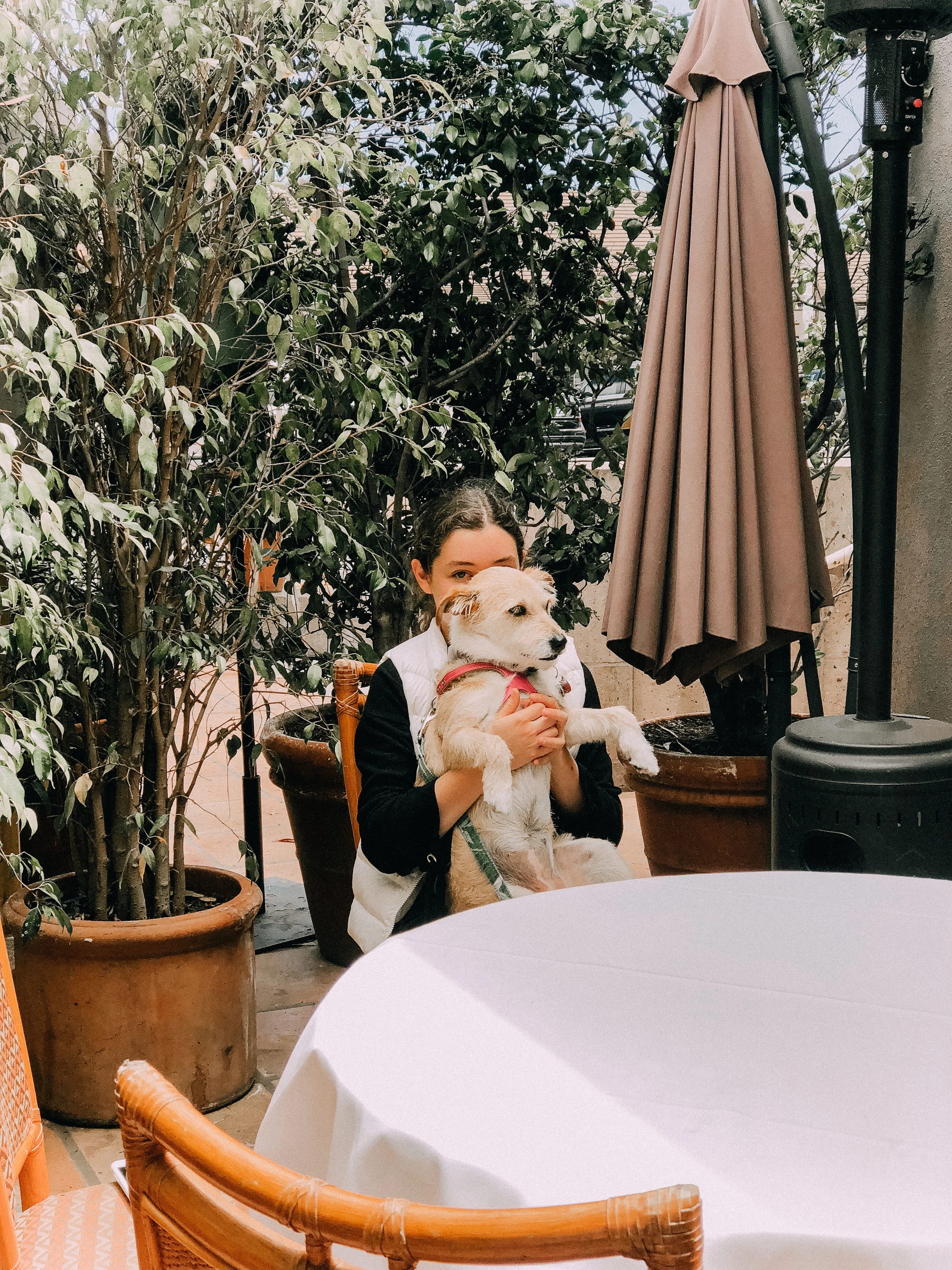 Dog Friendly Restaurants in Montecito