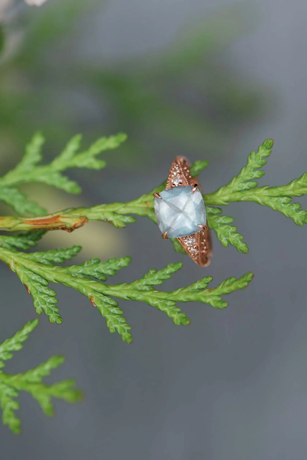 rania marie photography-5.jpg