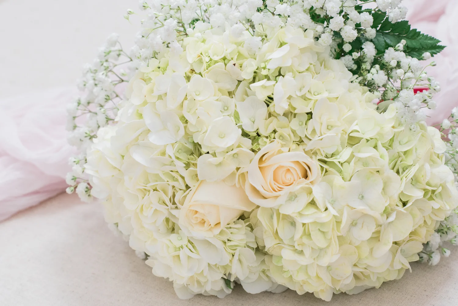 Venue1902_RaniaMariePhotography-10.jpg