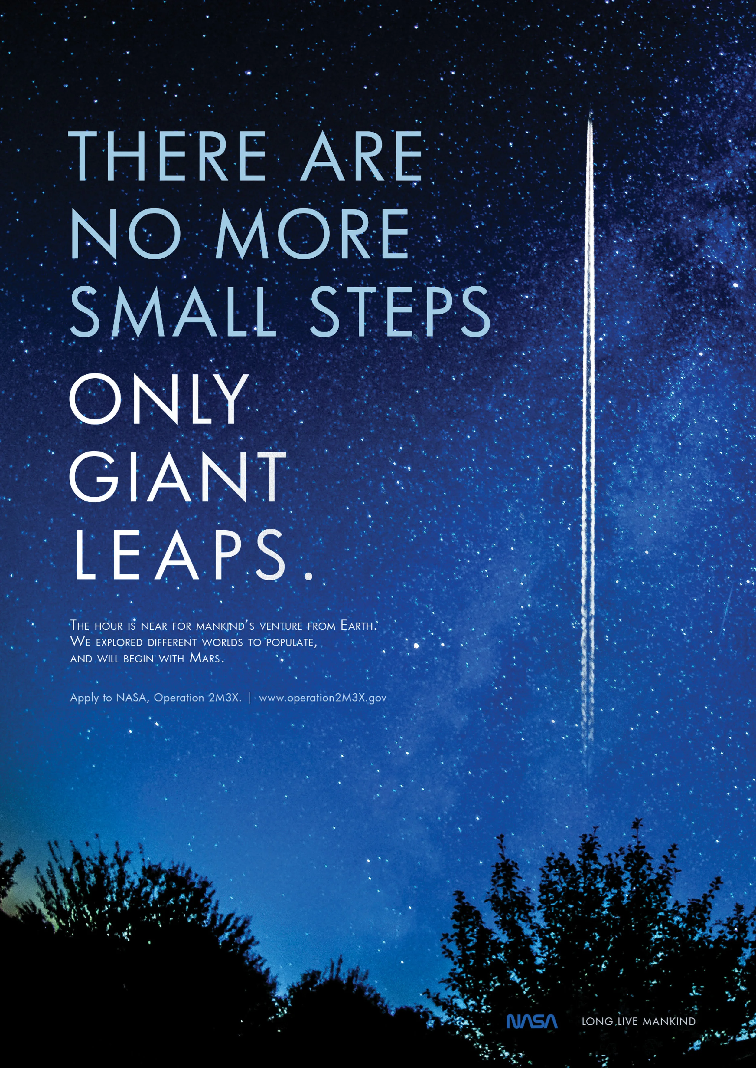 NASA Print 3.jpg