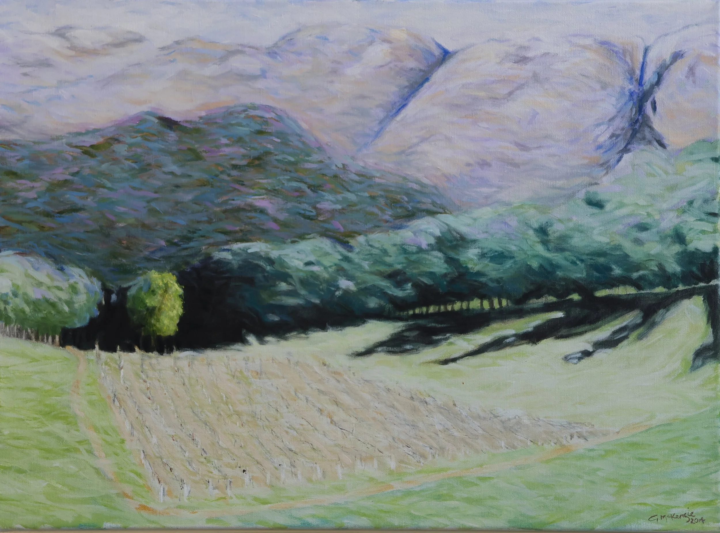 'Mt. Buffalo Range 1 (Mayford)', 2015, oil on canvas, 80 x 59 cm (framed) — $800