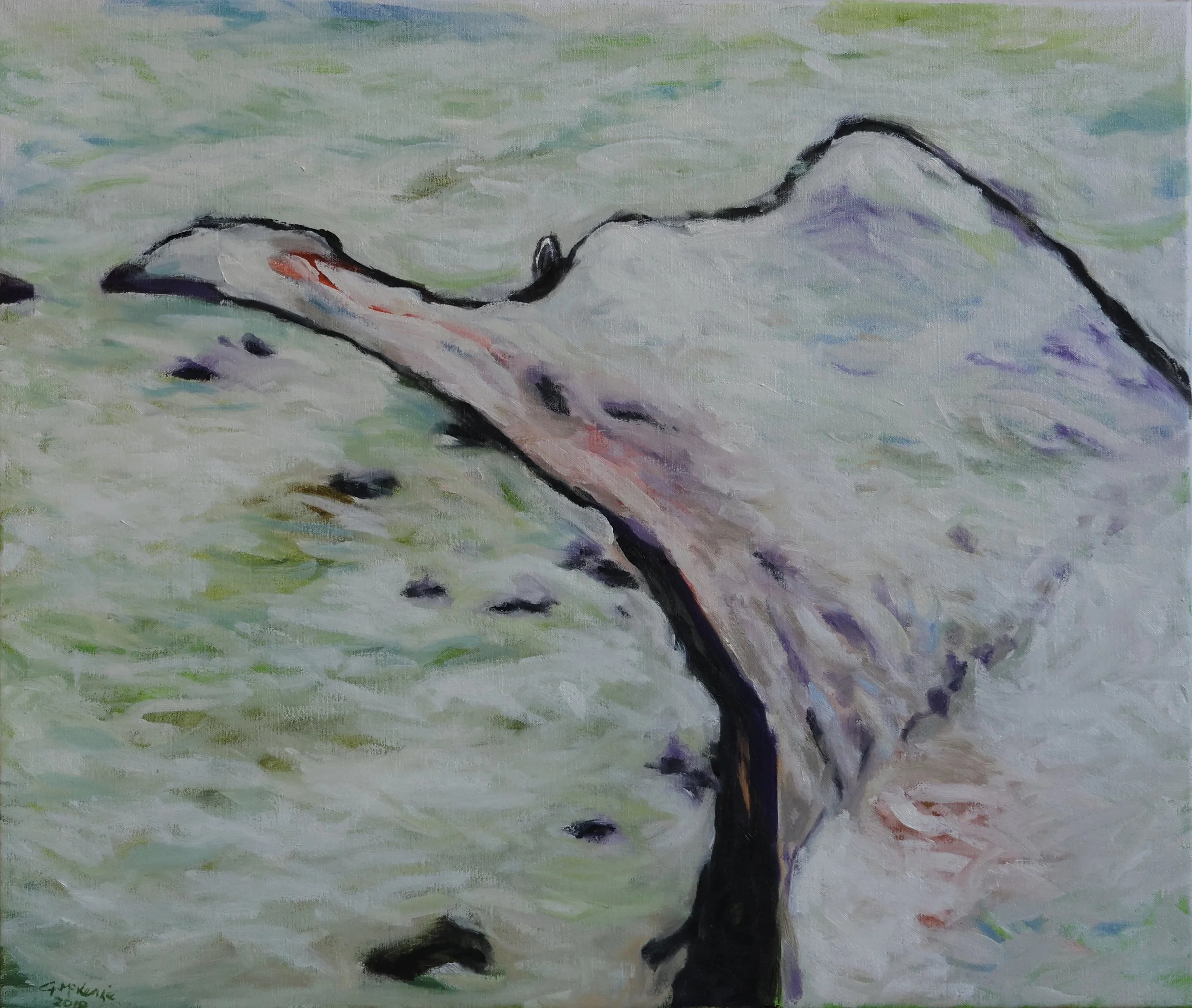 'Cape Schanck', 2018, oil on canvas, 56 x 67 cm — $600