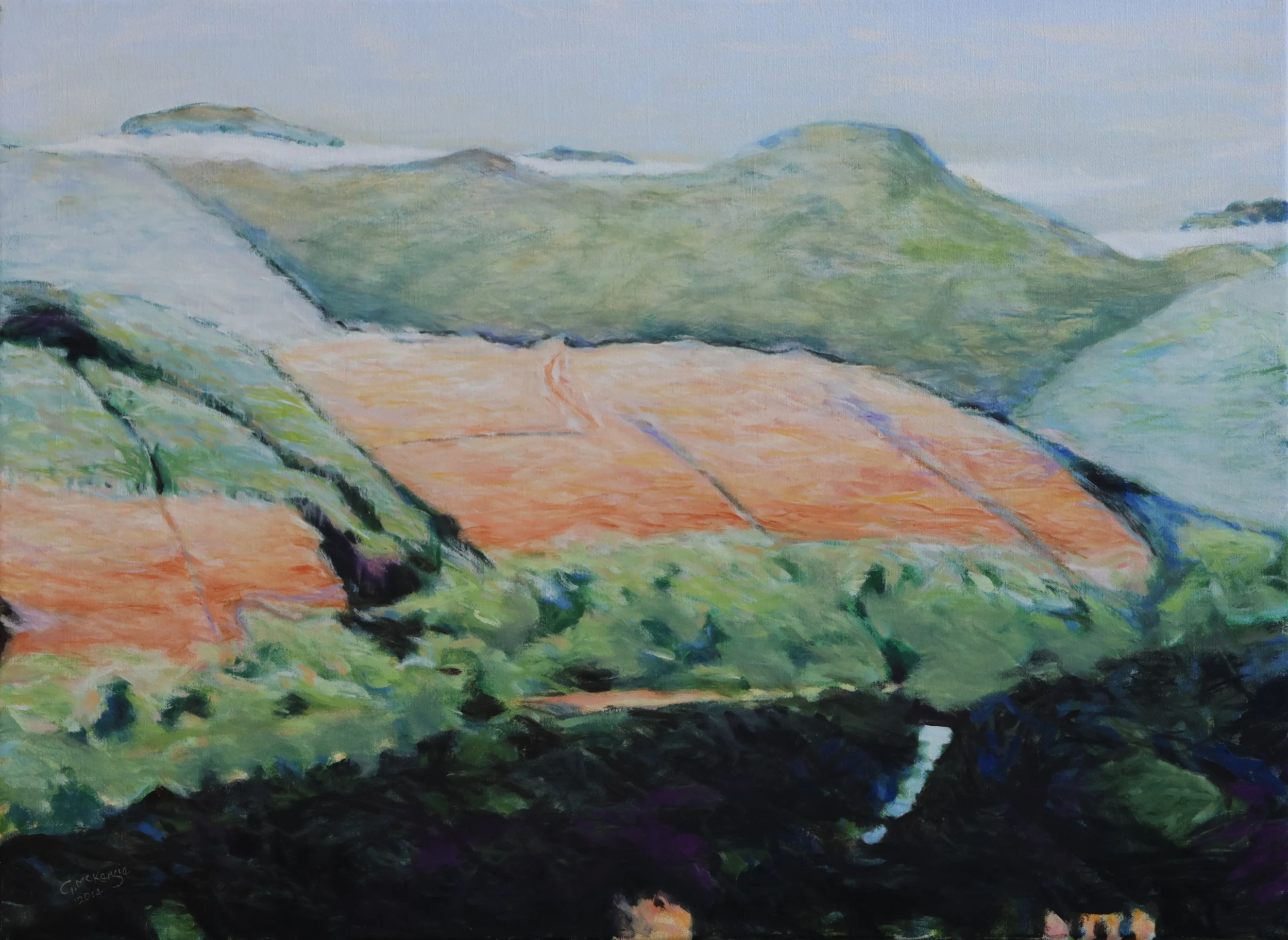 'Cleared Pines – Porepunkah', 2015, oil on canvas, 80 x 59 cm (framed) — $800