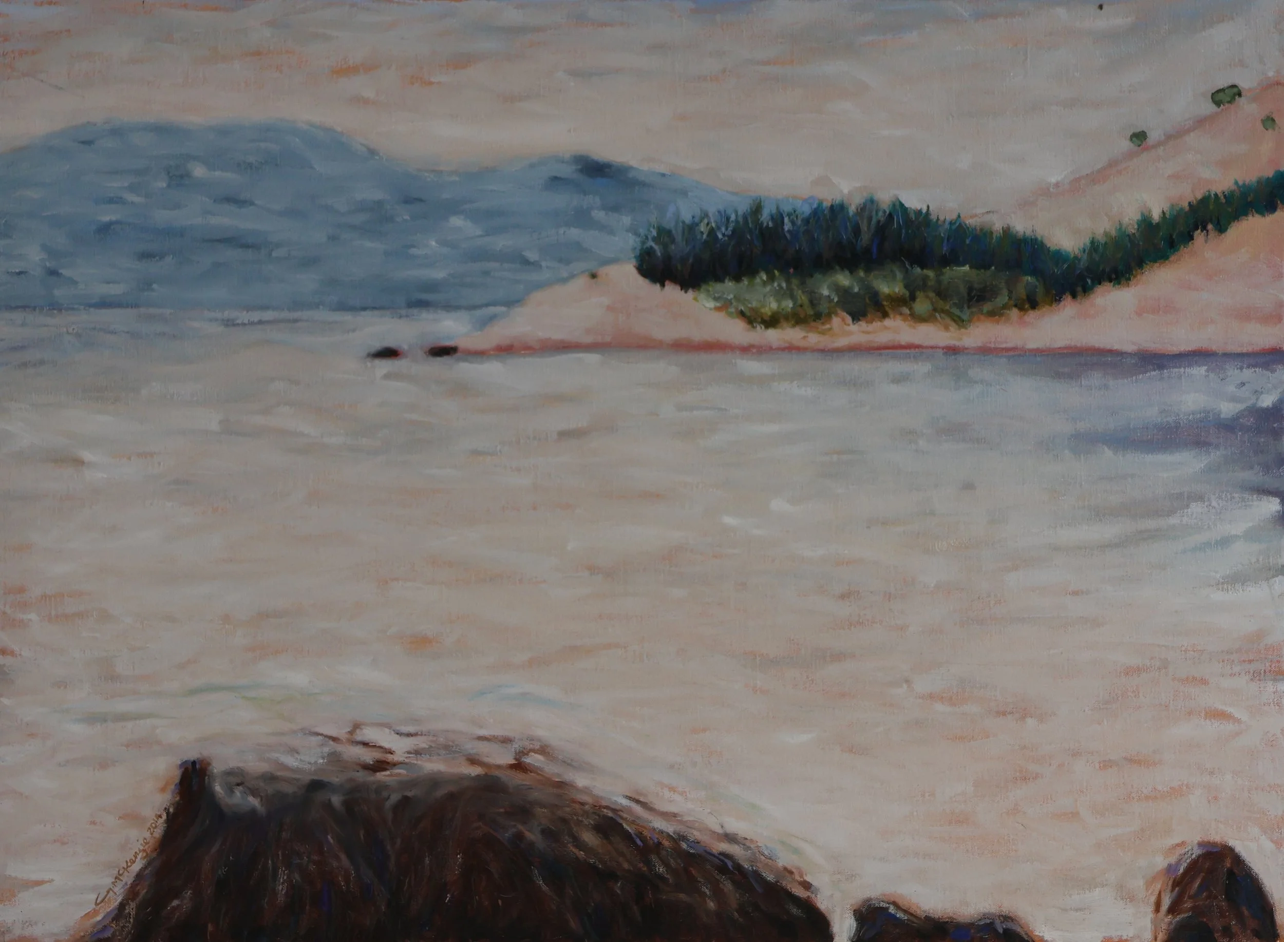 'Fredrick Henry Bay, Cremorne', 2014, oil on canvas, 76 x 56 cm — $600
