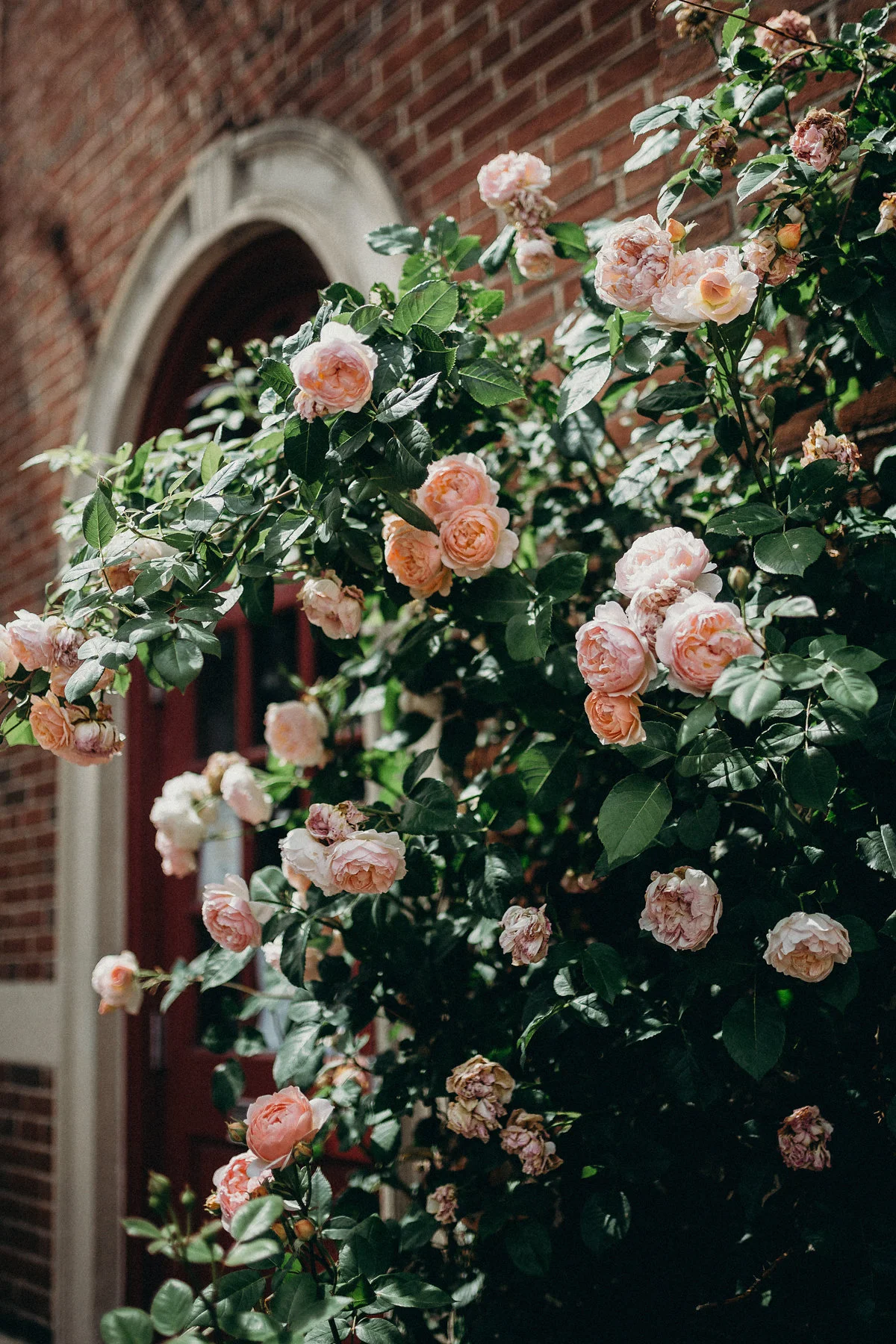 M+EWedding-0688.jpg