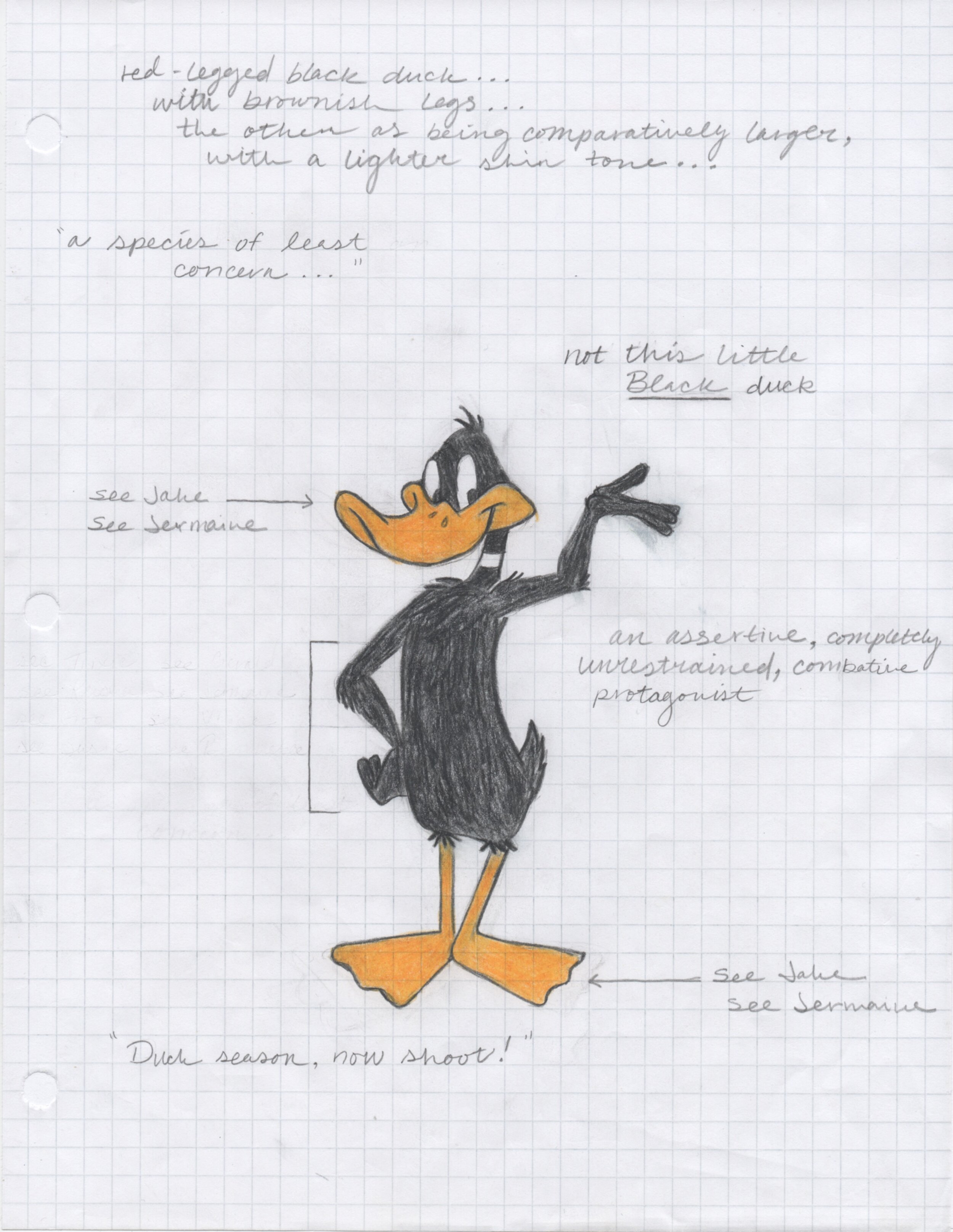 Character Studies: Daffy