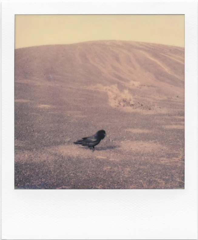 DeathValley1.jpg