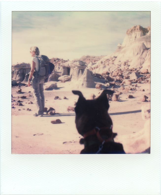 BISTI015b.jpg