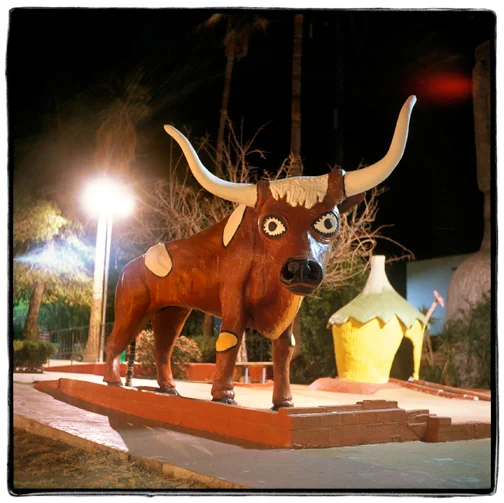 BULL.jpg
