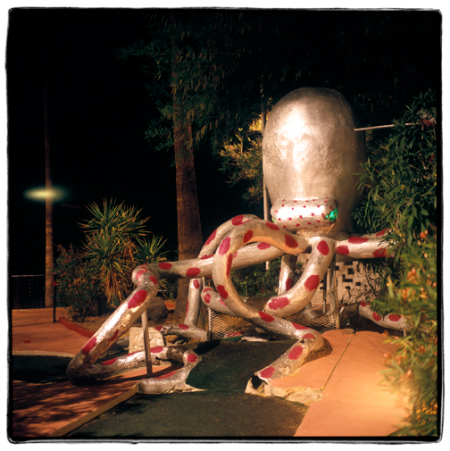 OCTOPUS.jpg